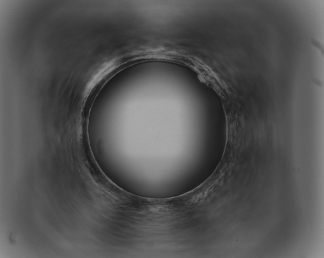 X0000091170344200709060938