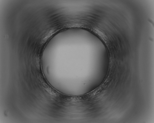 X0000091170345200709060938