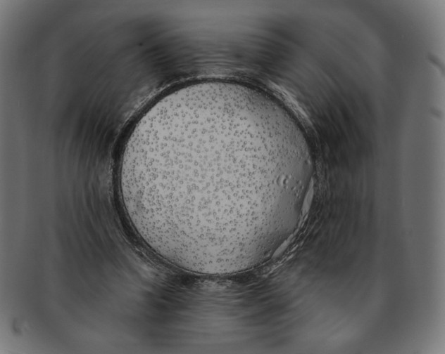 X0000091170346200709060938