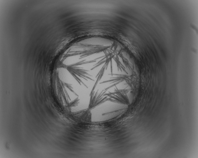 X0000091170347200709060938