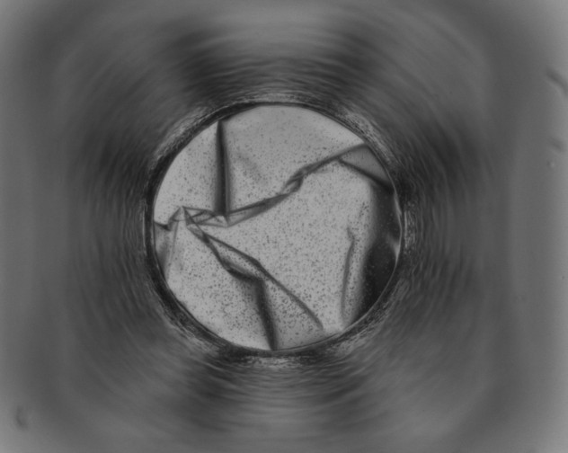 X0000091170349200709060938