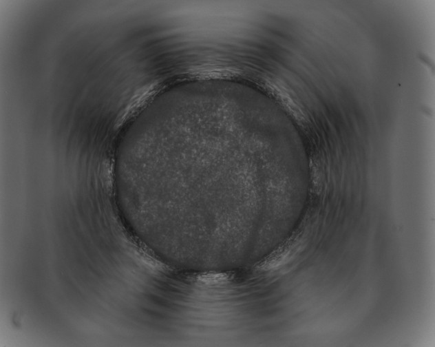 X0000091170357200709060938