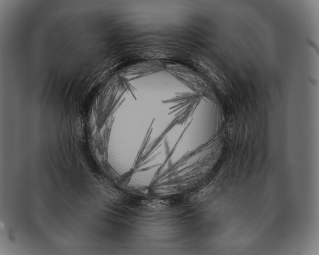 X0000091170359200709060938