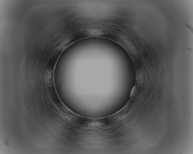 X0000091170360200709060938