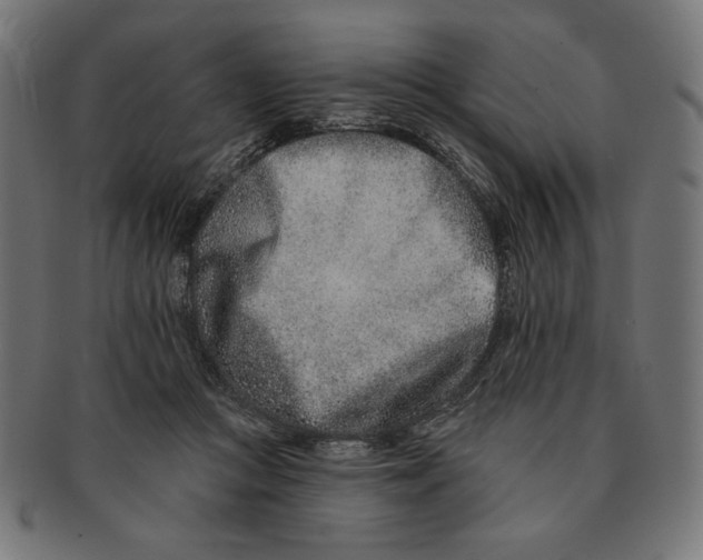 X0000091170361200709060938