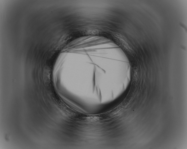 X0000091170363200709060938