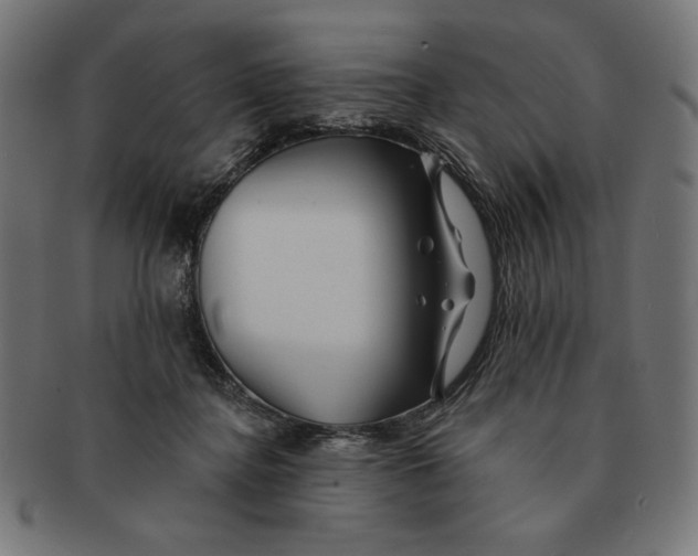 X0000091170364200709060938