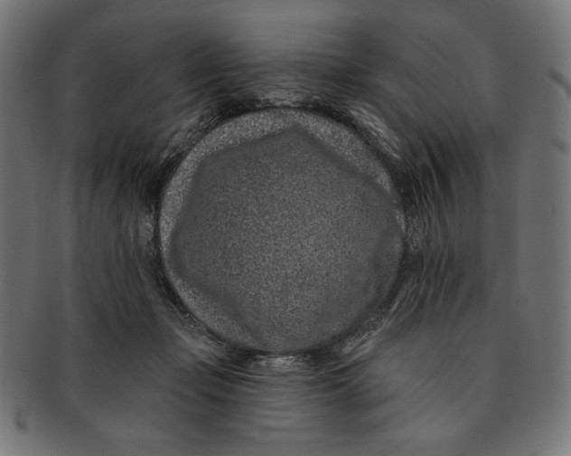 X0000091170365200709060938