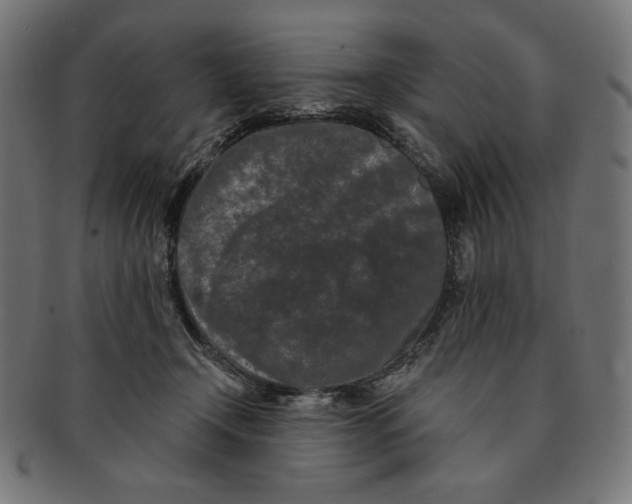 X0000091170366200709060938
