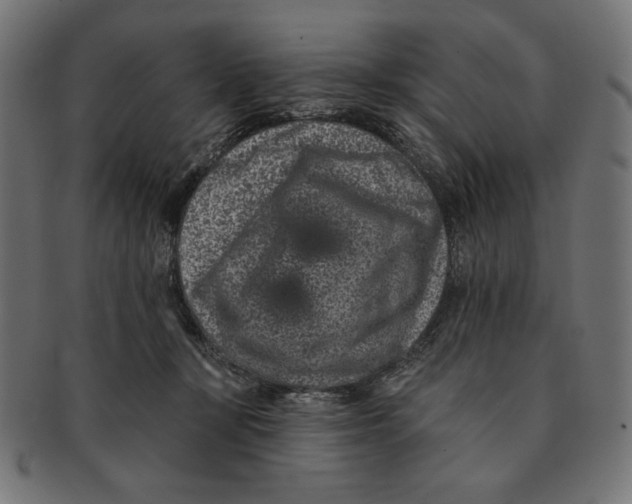 X0000091170367200709060938