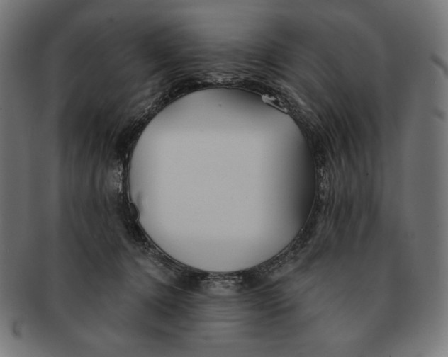 X0000091170368200709060938