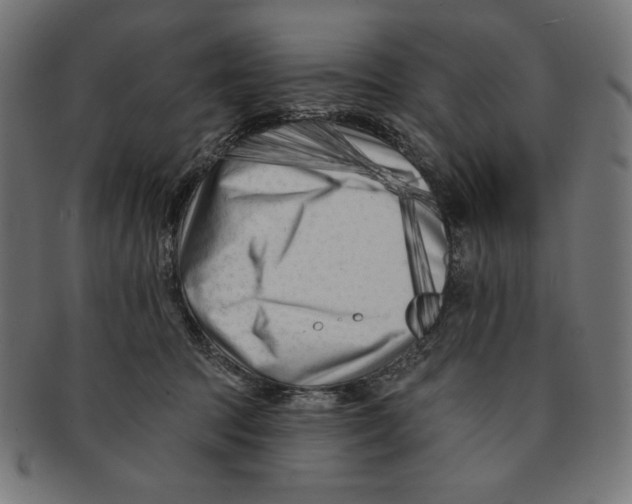 X0000091170369200709060938