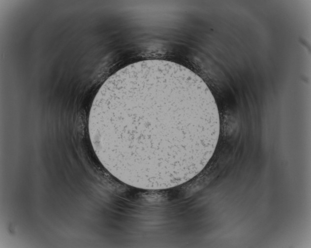 X0000091170370200709060938