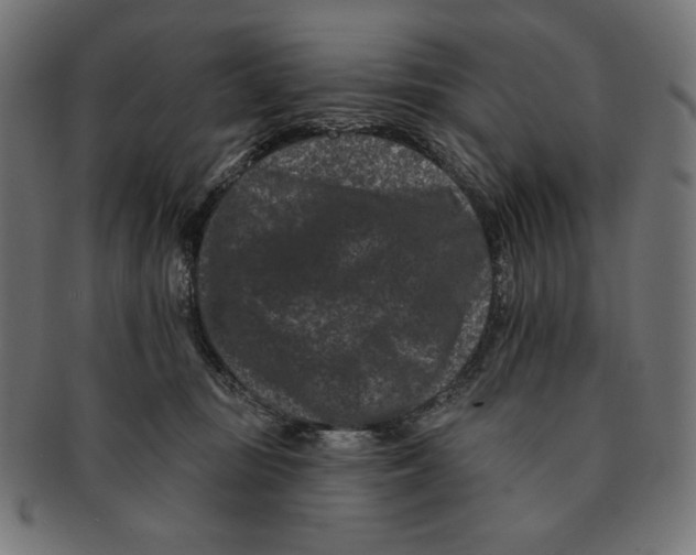 X0000091170371200709060938
