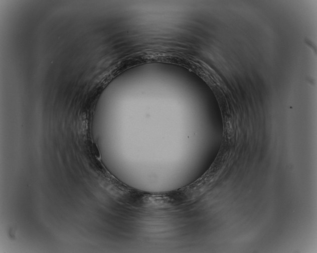 X0000091170372200709060938