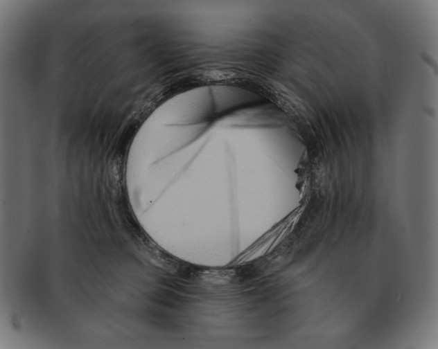 X0000091170373200709060938