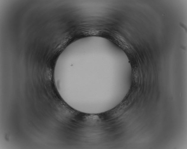 X0000091170374200709060939