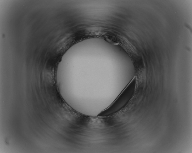 X0000091170376200709060939