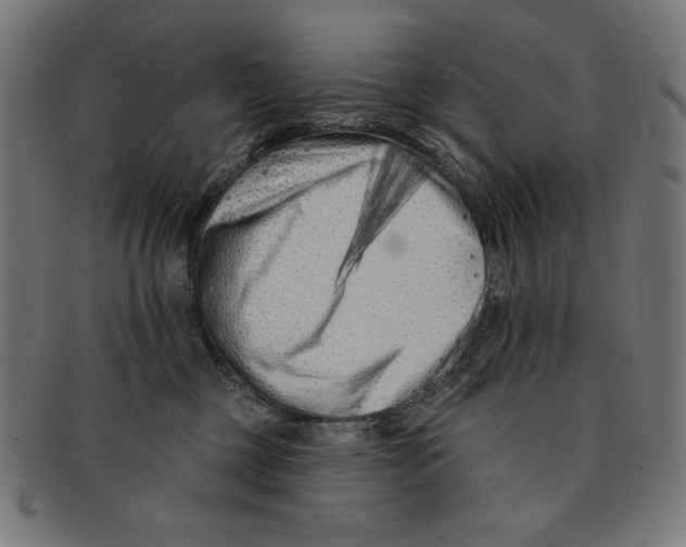 X0000091170377200709060939