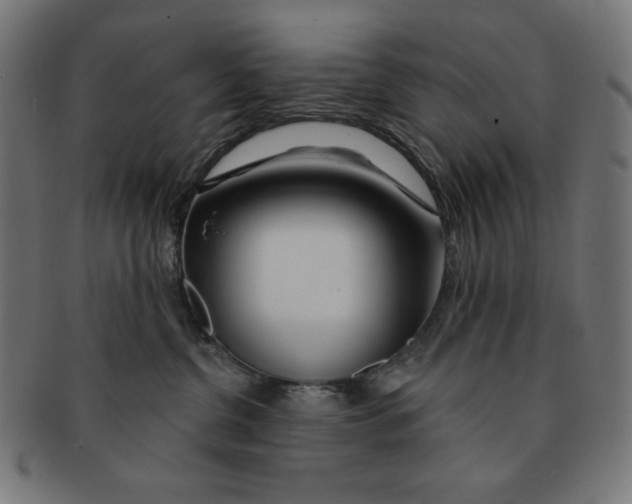 X0000091170380200709060939