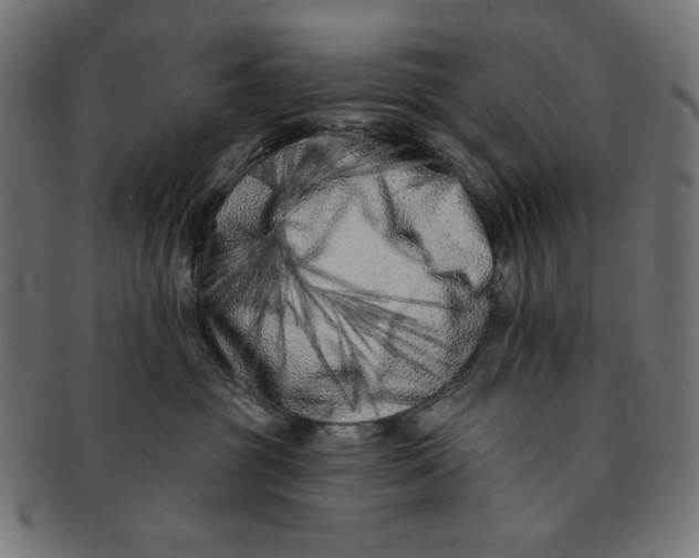 X0000091170381200709060939