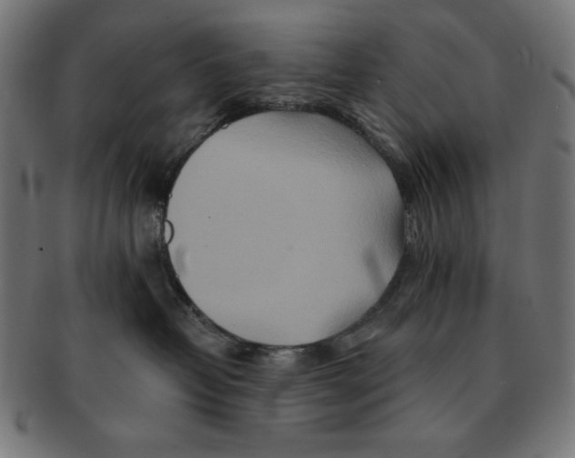 X0000091170382200709060939