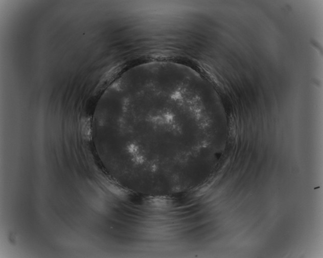 X0000091170383200709060939