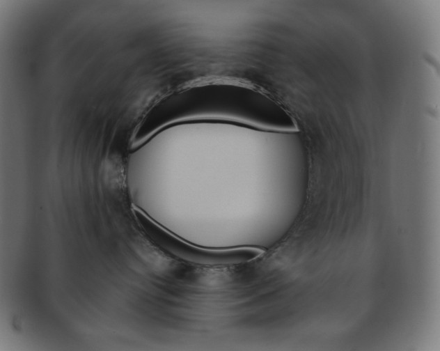 X0000091170384200709060939