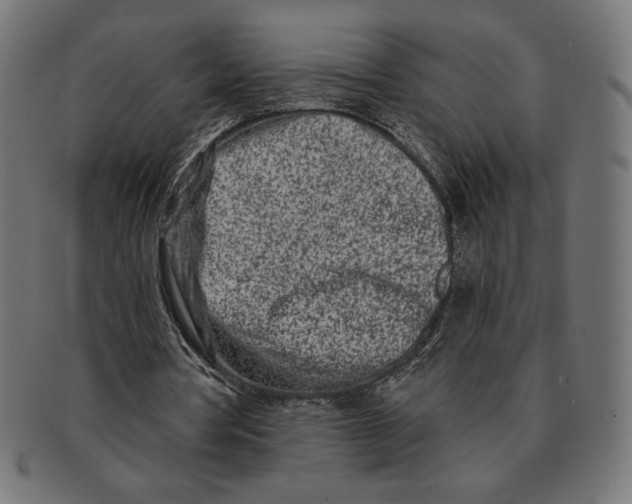 X0000091170386200709060938