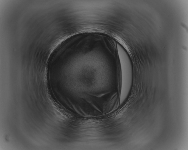 X0000091170387200709060938