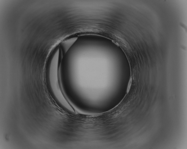 X0000091170388200709060938