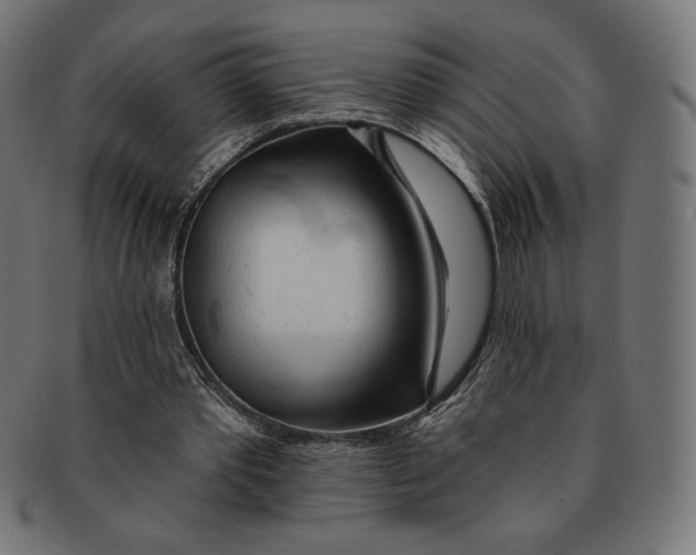 X0000091170389200709060938
