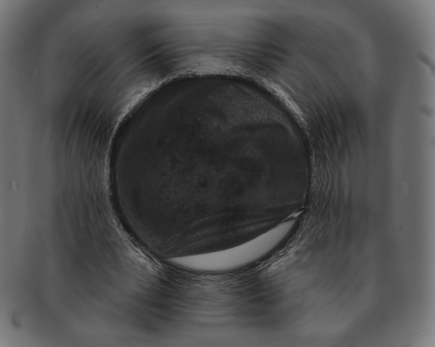 X0000091170391200709060938