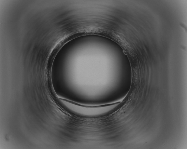 X0000091170392200709060938