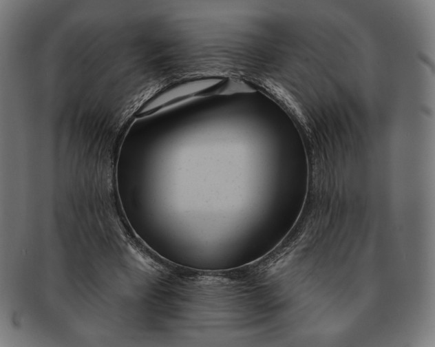 X0000091170393200709060938