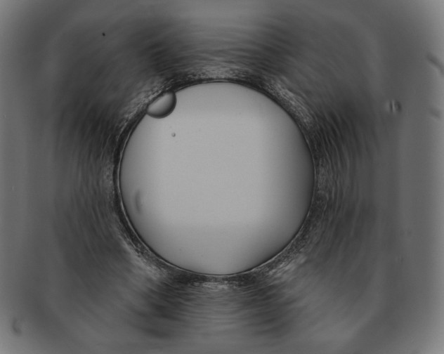X0000091170394200709060938