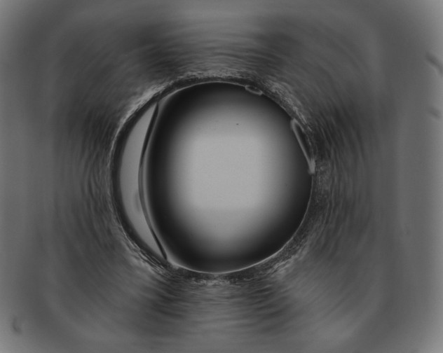 X0000091170395200709060938