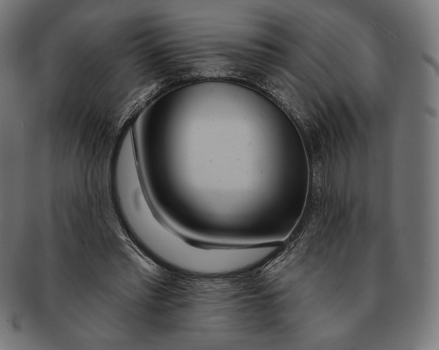 X0000091170397200709060938