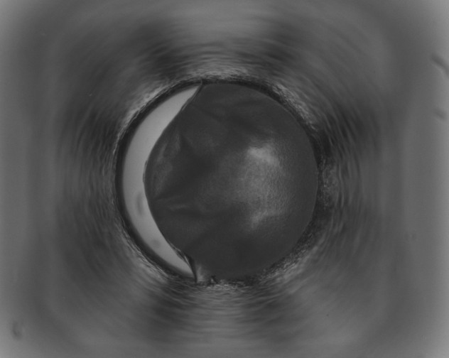 X0000091170399200709060938