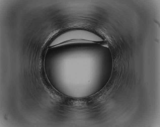 X0000091170400200709060938