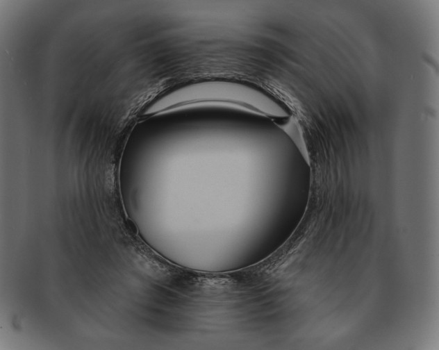 X0000091170401200709060938