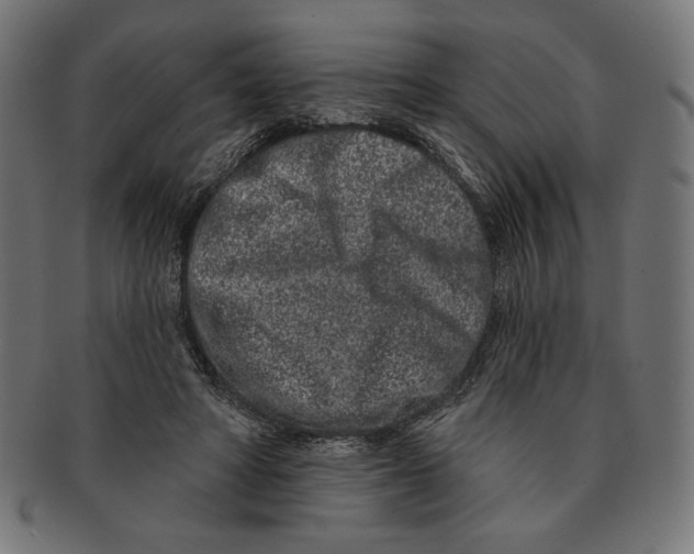 X0000091170402200709060938
