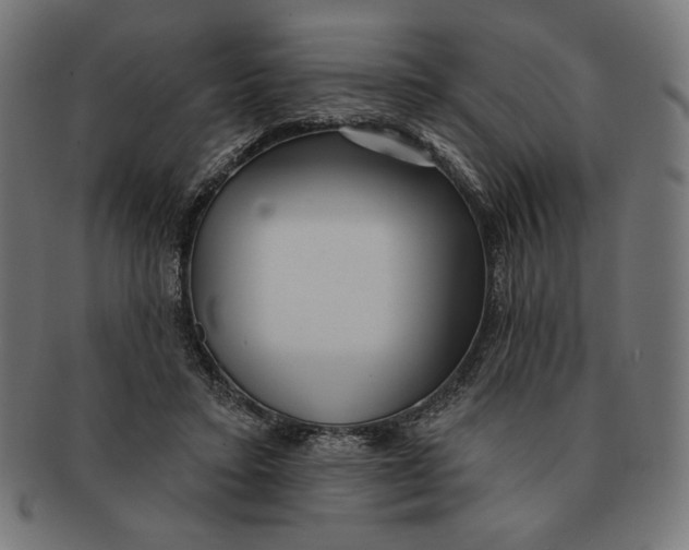 X0000091170403200709060938