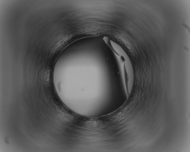 X0000091170404200709060938