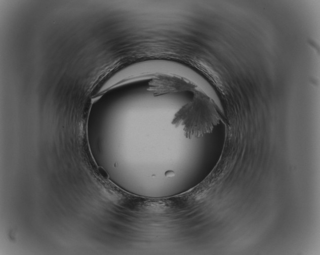 X0000091170405200709060938