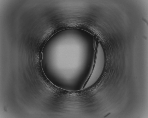X0000091170407200709060938