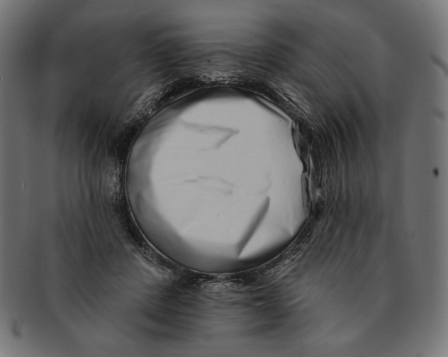 X0000091170408200709060938