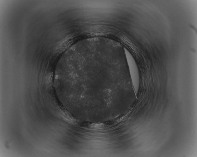 X0000091170410200709060938