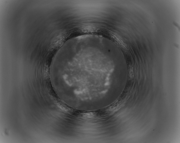 X0000091170411200709060938
