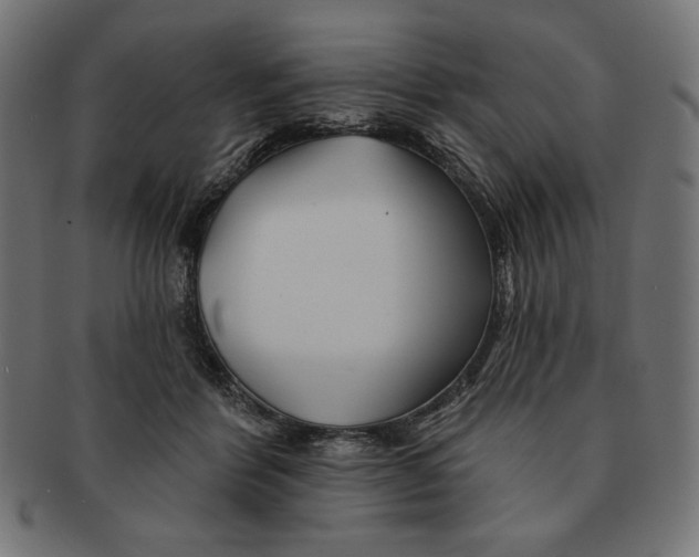 X0000091170412200709060938